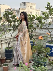 Silk all over embroidery saree